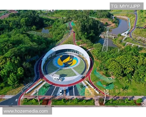 重庆足球场的魅力探索与城市文化的深度融合之旅